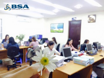 BSA chuyên nghiệp hoàn thành nộp báo cáo tài chính và bộ tờ khai quyết toán 2016 đúng hạn cho tất cả khách hàng