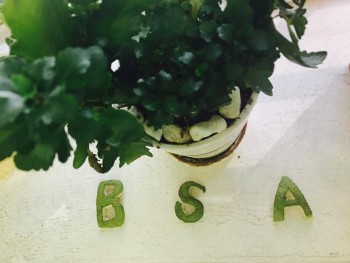 Chi phí lãi vay hợp lý được trừ khi tính thuế TNDN