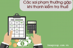 Các sai phạm thường gặp khi thanh kiểm tra thuế