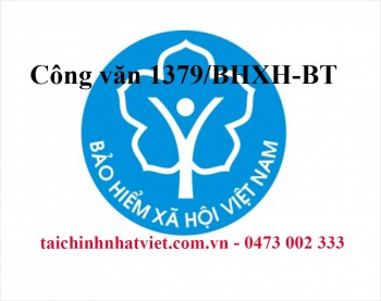  Công văn 1379/BHXH-BT của Bảo hiểm xã hội Việt Nam về việc hướng dẫn tính lãi chậm đóng, truy thu Bảo hiểm xã hội, Bảo hiểm y tế, Bảo hiểm thất nghiệp và thu Bảo hiểm xã hội tự nguyện