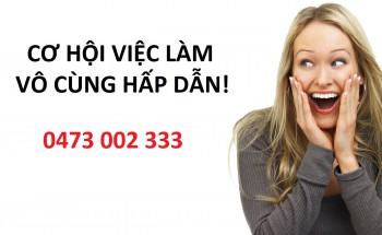 Tuyển 02 ví trí kế toán - tổng hợp và sản xuất